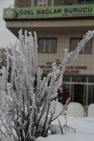 Diyarbakır'da dondurucu soğuğun güzelliği 3