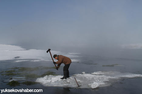 Baltayla buz kırıp hayvanlarını besliyorlar - Foto Galeri 12