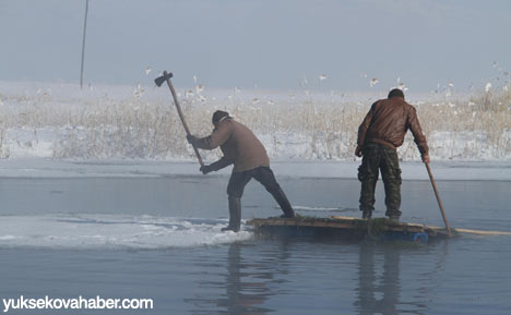 Baltayla buz kırıp hayvanlarını besliyorlar - Foto Galeri 3