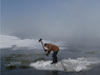 Baltayla buz kırıp hayvanlarını besliyorlar - Foto Galeri