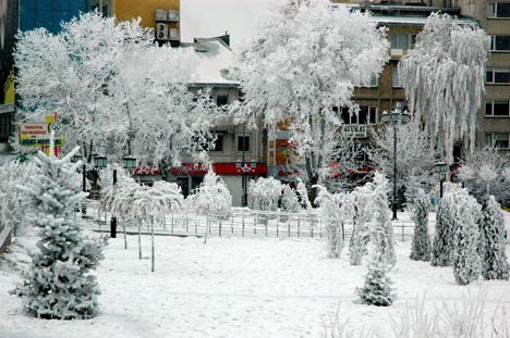 Erzurum'dan kar manzaraları 4