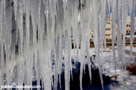 Erzurum'da Sibirya soğukları buzlu sanata dönüştü 13