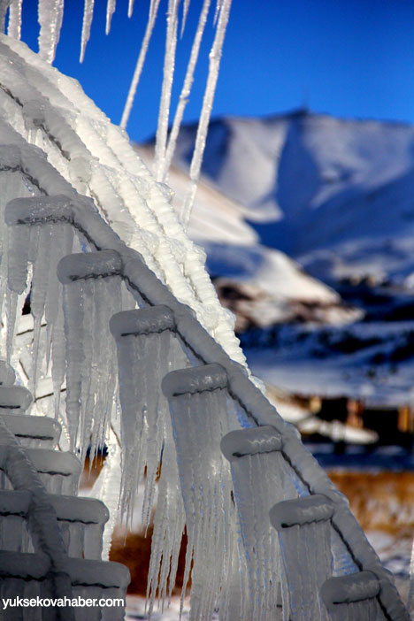 Erzurum'da Sibirya soğukları buzlu sanata dönüştü 18