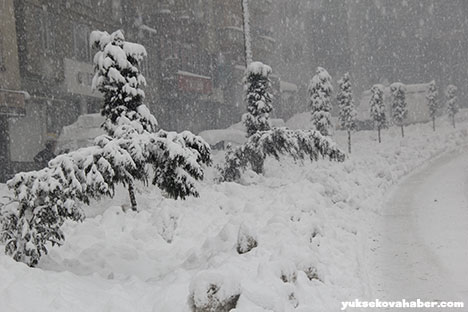 Hakkari kara teslim 28