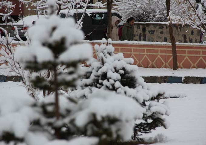 Erzurum'da kar yağışı 2