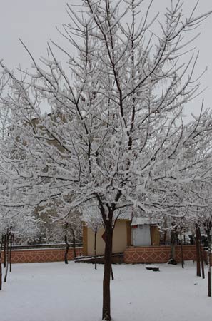 Erzurum'da kar yağışı 8