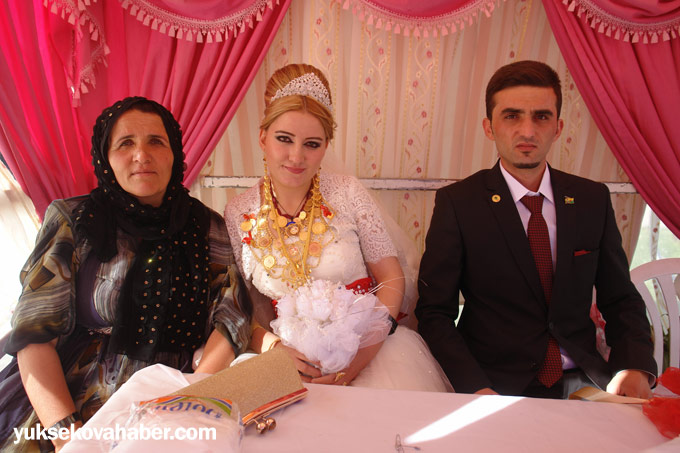 Yüksekova Düğünleri (24-25 Mayıs 2014) 39