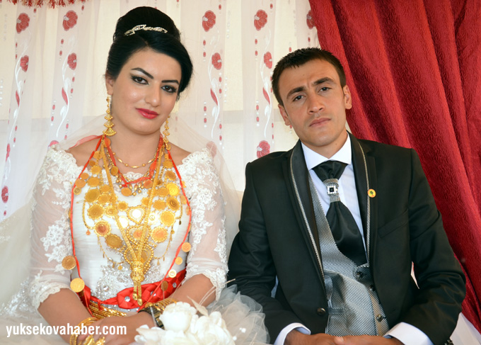Yüksekova Düğünleri - Foto Galeri - (31 Mayıs - 1 Haziran 2014) 4