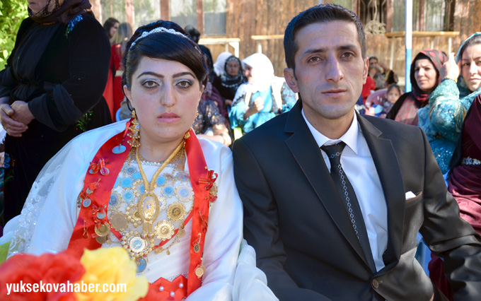 Yüksekova Düğünleri - Foto Galeri - (31 Mayıs - 1 Haziran 2014) 8