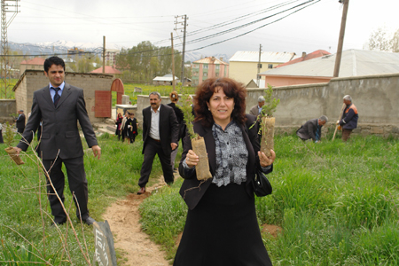 Yüksekova'da fidan dikimi 2