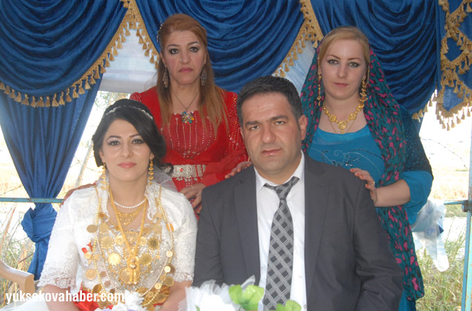 Yüksekova Düğünleri (13 - 17 Ağustos 2014) 125