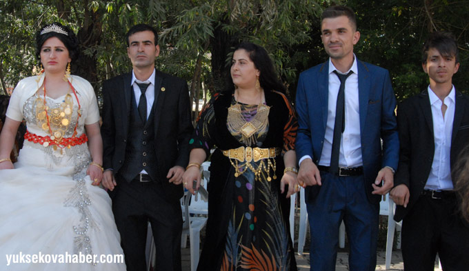 Yüksekova Düğünleri (13 - 17 Ağustos 2014) 213