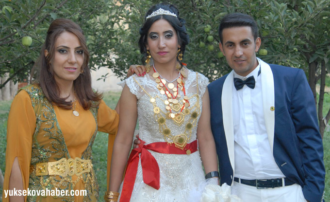 Yüksekova Düğünleri (13 - 17 Ağustos 2014) 224