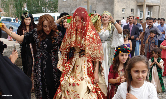 Yüksekova Düğünleri (13 - 17 Ağustos 2014) 227