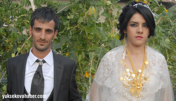 Yüksekova Düğünleri (27 - 31 Ağustos 2014) 4
