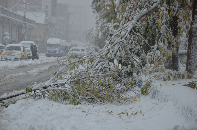 Yüksekova'da yılın ilk kar yağışı 6
