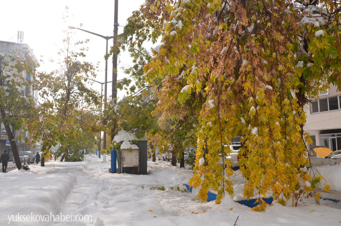 Yüksekova'da kar manzaraları - foto - 21-10-2014 28