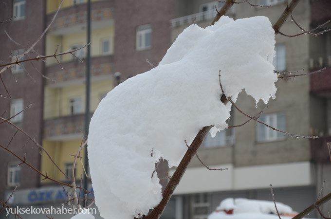 Yüksekova'da kar manzaraları - foto - 21-10-2014 30