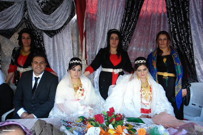 Yüksekova Düğünleri (25 26 Ekim 2014) 53