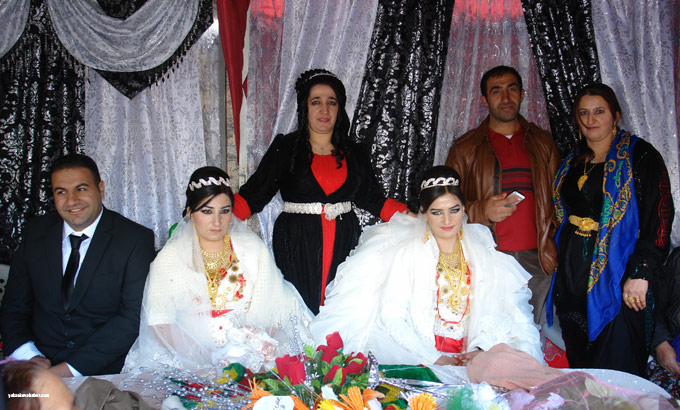 Yüksekova Düğünleri (25 26 Ekim 2014) 54