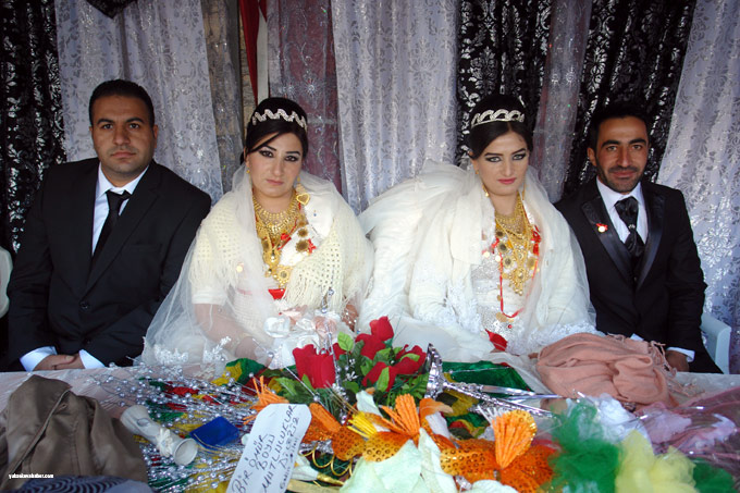 Yüksekova Düğünleri (25 26 Ekim 2014) 56