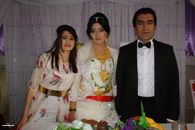 Tekin ailesinin Yüksekova'daki düğününden fotoğraflar - 01-11-2014 24