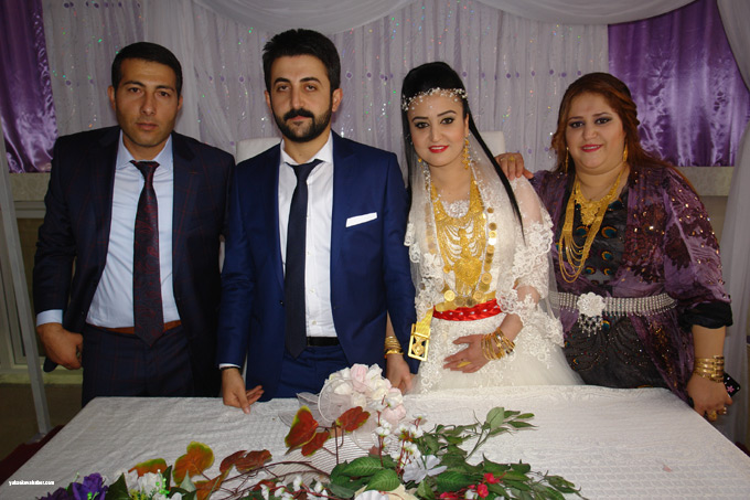 Yüksekova Düğünleri (01 02 Kasım 2014) 11