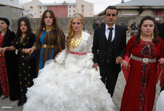 Yüksekova Düğünleri (15 16 Kasım 2014) 31