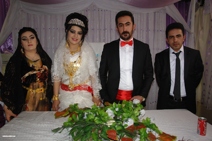 Yüksekova Düğünleri (29 30 Kasım 2014) 26