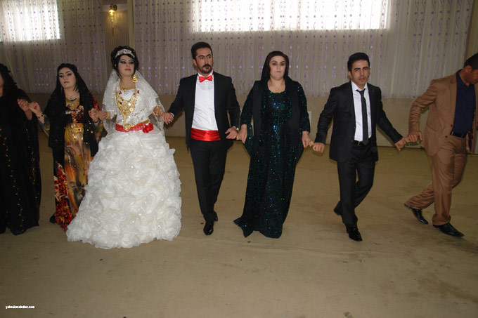 Yüksekova Düğünleri (29 30 Kasım 2014) 32