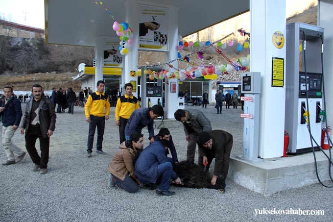 Şemdinli'de halaylı akaryakıt istasyonu açılışı 4