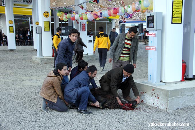 Şemdinli'de halaylı akaryakıt istasyonu açılışı 5