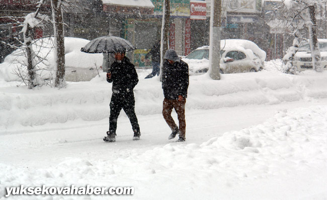 Hakkari ve Yüksekova'da kar yağışı 10