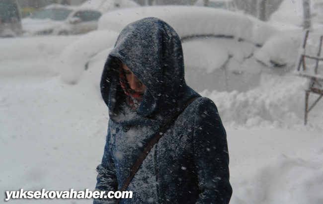Hakkari ve Yüksekova'da kar yağışı 13
