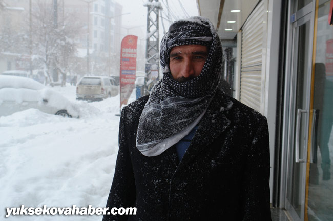 Hakkari ve Yüksekova'da kar yağışı 15