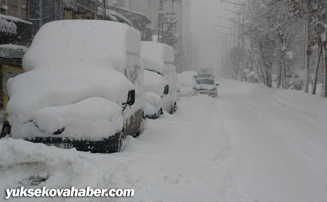 Hakkari ve Yüksekova'da kar yağışı 24