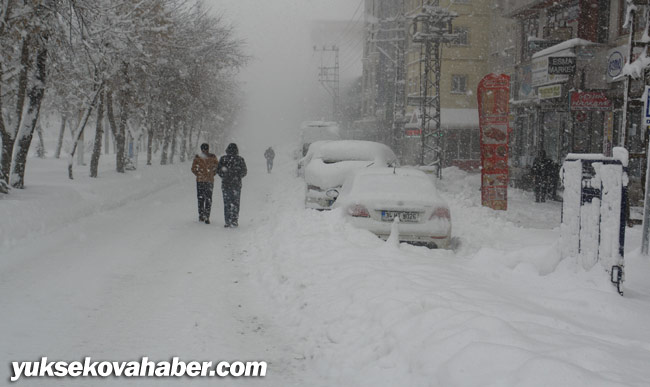 Hakkari ve Yüksekova'da kar yağışı 8