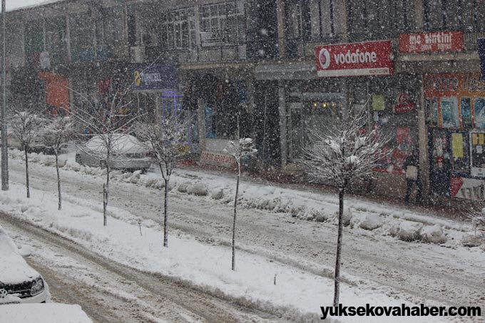 Şemdinli'de kar yağışı 11