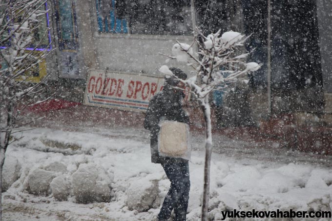 Şemdinli'de kar yağışı 12
