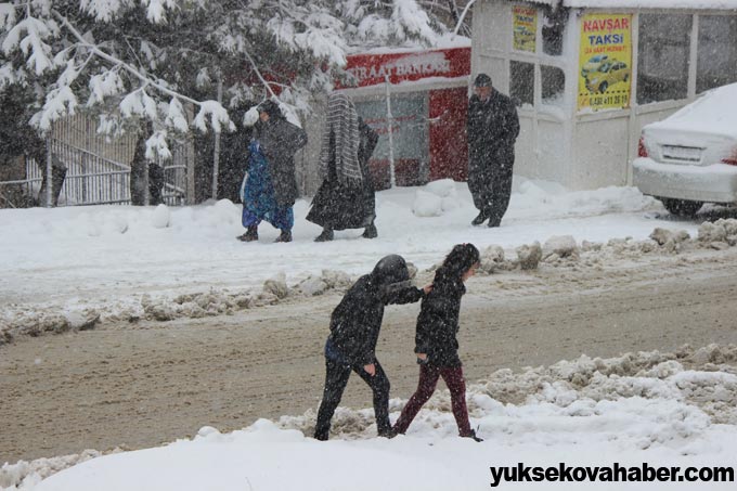 Şemdinli'de kar yağışı 16