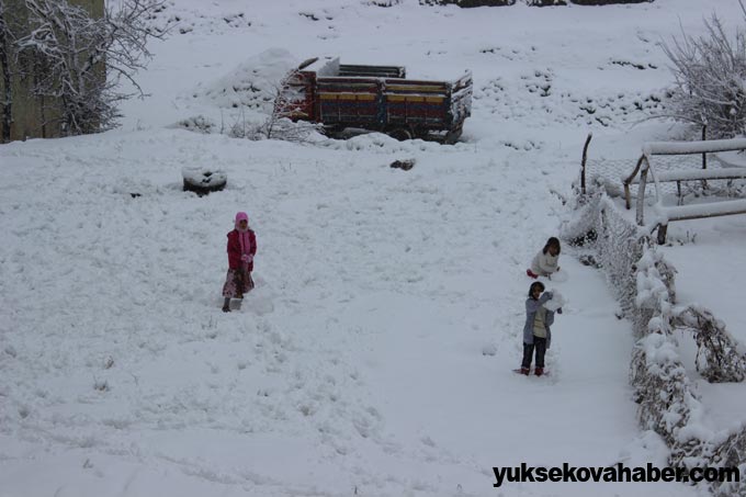 Şemdinli'de kar yağışı 22