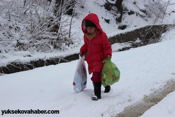 Şemdinli'de kar yağışı 24
