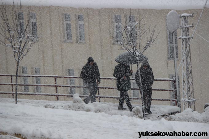 Şemdinli'de kar yağışı 9