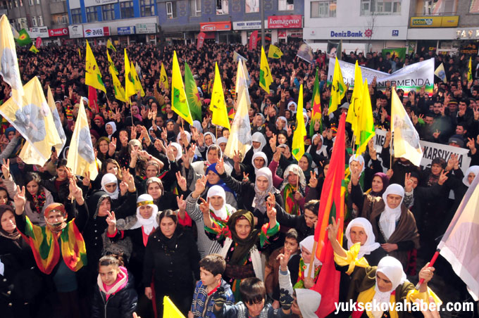 Hakkari'de 'Öcalan'a özgürlük' yürüyüşü 15