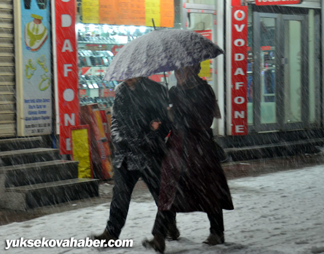 04-02-2015 - Yüksekova'da kar yağışı 10