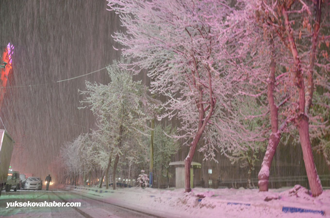 04-02-2015 - Yüksekova'da kar yağışı 29