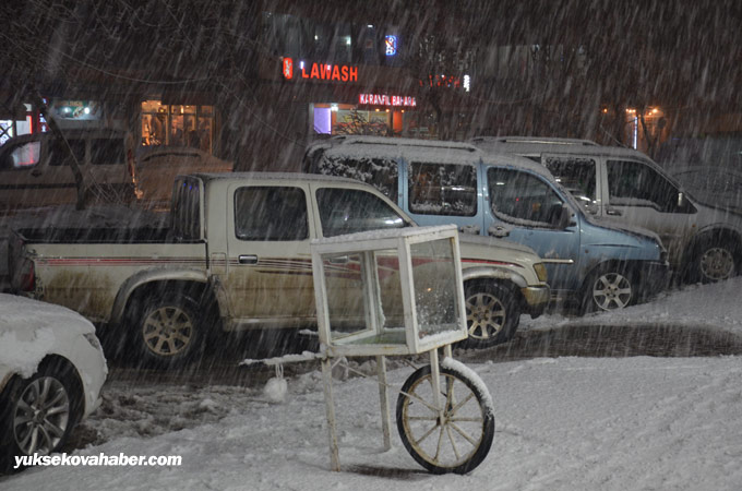 04-02-2015 - Yüksekova'da kar yağışı 8