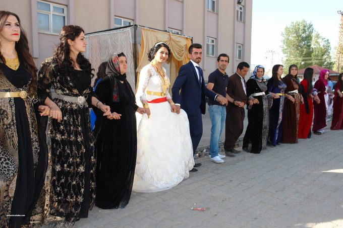 Yüksekova Düğünleri (17 Haziran 2015) 116