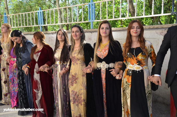 Yüksekova Düğünleri (17 Haziran 2015) 13