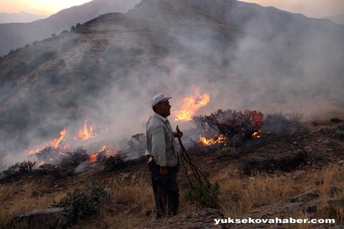 Şemdinli'de orman yangınları sürüyor 11